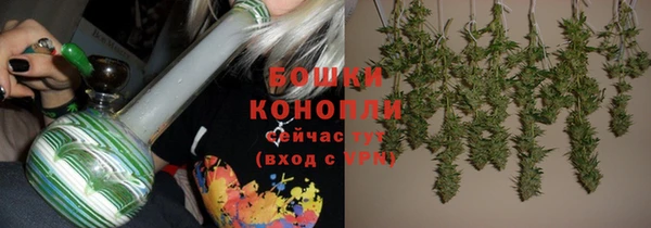 молекула духа Бугульма