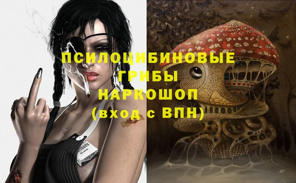 СК Бронницы