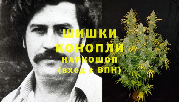 СК Бронницы