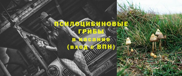 винт Бородино