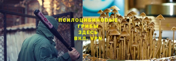 твердый Богородск